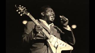 Albert King  Ill Play the Blues for You  Live at The Purple Carriage 1974 [upl. by Ziul]