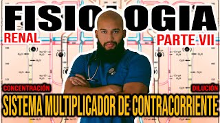 Fisiología RENAL Pt VII  SISTEMA MULTIPLICADOR DE CONTRACORRIENTE Concentración y Dilución [upl. by Johnny931]