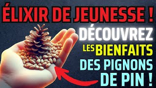 🍽️ Comment les Pignons de Pin Peuvent Booster Votre Énergie en 5 Jours [upl. by Sherborn]