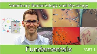 Fundamentals of Microbiology  Part 1 [upl. by Maon]