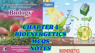 CHAPTER 4🌴 BIOENERGETICS🌹🧬🦠MCQS✨🌴🧬 Notes 🦠🧫BIOLOGY🌟CLASS 11🥀 NBF✈️FEDERAL BOARD🧫 [upl. by Ailama]