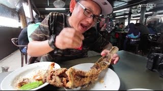 Ikan Keli Besar Lengan di Nasi Ulam Cikgu 😱 😱  Kelantan Part 2 [upl. by Ahtilat]