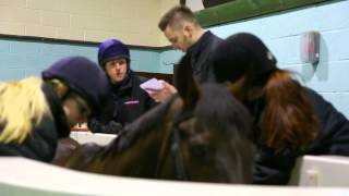 Equine A day in the life at Hartpury College [upl. by Bearce]