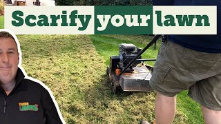 How to scarify your lawn step by step [upl. by Rad108]