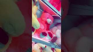 Teddies 🧸 🧸 [upl. by Avram]