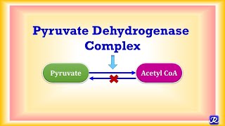 10 Pyruvate Dehydrogenase Complex  Carbohydrate Metabolism 10  Biochemistry  NJOY Biochemistry [upl. by Nylirret]