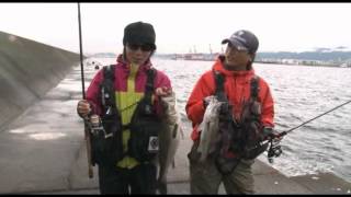 COREMAN lures CORE Vol5  Saltwater Fishing JAPAN [upl. by Ynatsyd]