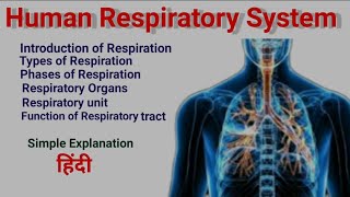 Human Respiratory System  Anatomy amp Physiology in hindi  Structure  Organ  Function [upl. by Stoat]