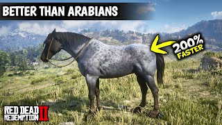 5 Horses Faster than Arabians amp Get them as Arthur Early  Red dead redemption 2 [upl. by Poll]