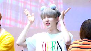 180727 목동 팬사인회 quot아이스크림보다 더 시원 달콤한 순영이” 세븐틴 SEVENTEEN 호시 직캠 HOSHI FOCUS [upl. by Celestyna]