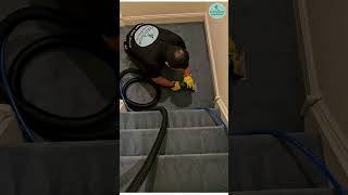 ✅ Apartment Carpet Cleaning in Springfield NJ [upl. by Lleneg410]