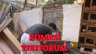 Yeni Kümes Yapıyorum  Yıkıma Son Gaz Devam [upl. by Bonilla]