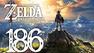 Lets Play Zelda Breath of the Wild Part 186 Um den Turm herum [upl. by Nowd219]