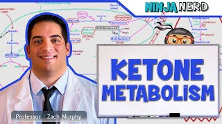 Metabolism  Ketone Metabolism [upl. by Leima]