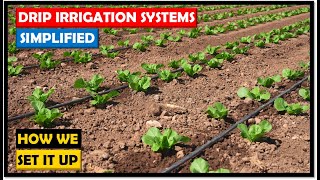 Farming in Zambia Drip Irrigation Systems Simple Direct and Costeffective [upl. by Amye]