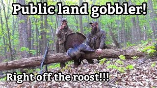 Virginia Public Land Mountain Gobbler Spring Gobbler Turkey Hunt 2024  Ridge Raised Outdoors [upl. by Yznil]