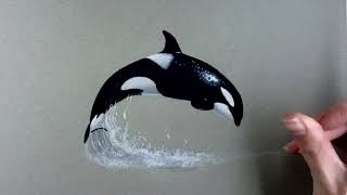 Drawing an Orca a Killer Whale in Colored Pencil  TimeLapse  Jasmina Susak [upl. by Hodges]