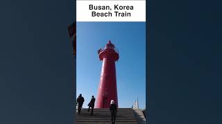 Korea travel Busan train travel  Beautiful Korean beach street Walking tour koreatravel koreavlog [upl. by Oderfliw]