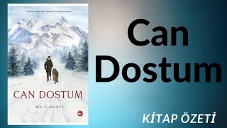 Can Dostum Kitap Özeti  Ferhat Azun [upl. by Arliene]