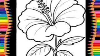 How to draw a beautiful flower called hibiscus 🌺 [upl. by Aissila]