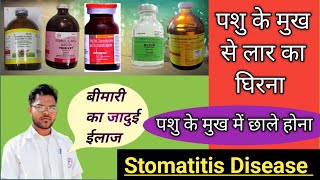 पशु के मुंह मे छाले होना। Stomatitis disease of animal treatment। Bhupendar। Stomatitis Disease। [upl. by Aylward]