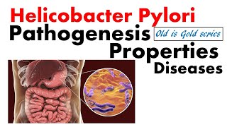 Helicobacter pylori microbiology  Pathogenesis disease treatment diagnosis  peptic ulcer [upl. by Esiuole]