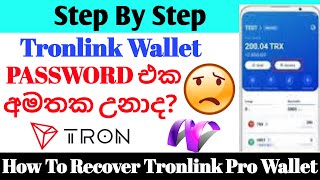 Password එක අමතක උනාද  How To Recover TronLink Pro Wallet  Sinhala Tutorial [upl. by Nedlog]