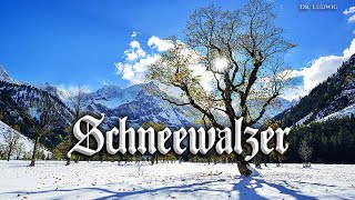 Schneewalzer Austrian dancesongEnglish translation [upl. by Montgomery516]