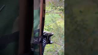 MN opener hunting whitetails archery bowhunting adventure outdoors deerhunting deer short [upl. by Ruamaj]