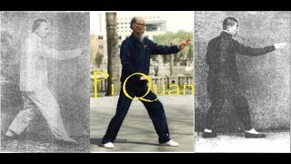 Pi Quan Xingyi Quan Fighting Techniques Vol 3 [upl. by Chloe]