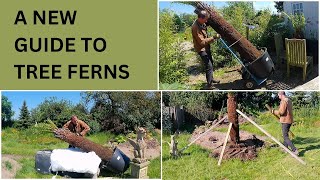 Tree Fern Care  A NEW Guide To Tree Ferns  Dicksonia Antarctica [upl. by Marienthal]