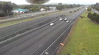 Cockatoo plays peekaboo with traffic cam [upl. by Hurff]