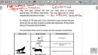 GRADE 12 EVOLUTION REVISION PAPER 2 [upl. by Ardith666]