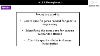 A Level Biology  6135  Electrophoresis [upl. by Yojenitsirk]