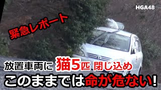 【緊急レポ】「放置車両に猫５匹！このままでは命が危ない  虐待飼育の悲惨な現実に迫る」 [upl. by Schriever445]