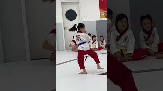 TAEKWONDO POOMSAE 3TAEGUEK 3BASIC FORM 3 [upl. by Hime]