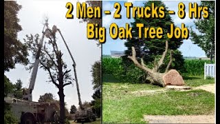 Huge Oak Tree Removal Next To House With Small Crane [upl. by Australia]