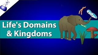 Domains and Kingdoms of life [upl. by Haroved]