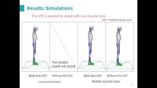 前庭脊髄路を考慮した神経系コントローラによるヒトの姿勢制御のモデル化 [upl. by Ahsieker252]
