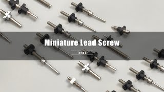 Miniature Custom Lead Screw Spindle with Various Nut [upl. by Ahsemat143]