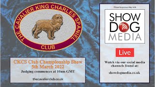 The Cavalier King Charles Spaniel Club Championship Show 5th March 2022 pt1 [upl. by Batista324]