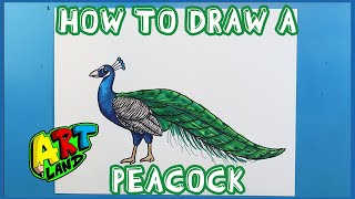 How to Draw a PEACOCK [upl. by Nonnahc]