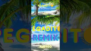 Pegadito Aleteo Remix [upl. by Nekal]