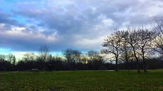 Timelapse  Zeitraffer  Jesuitenwiese  Wien [upl. by Eirelav837]