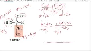 BIOQUÍMICA FORMA PROTONADA E DESPROTONADA DE UM AMINOÁCIDO EM FUNÇÃO DO pH DO MEIO [upl. by Airretal]