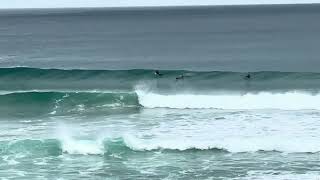 AUSTRALIAN BEACH LIFE beachlife relaxation surfing [upl. by Haidabo]