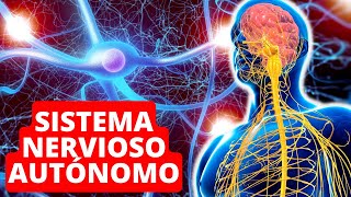 El SISTEMA NERVIOSO AUTÓNOMO explicado funciones y estructura 🧠 [upl. by Kassel]