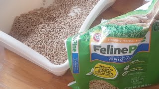 How I sift Feline Pine pellet litter without a sifting tray [upl. by Waugh]