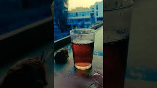 sulaimaniblacktea tea chaya malayalam kerala vibe malayalamshorts recipes Zellaaazrecipes [upl. by Lihp]