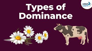 Genetics  Dominance and Its Types  Lesson 8  Dont Memorise [upl. by Uke]